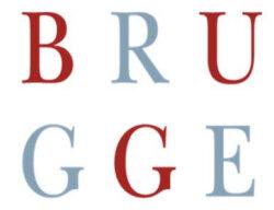 logo IBrugge